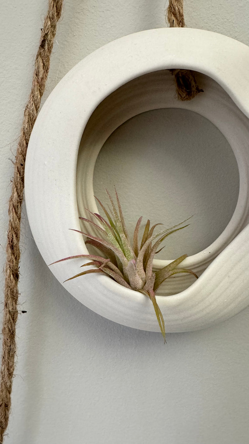 Flow organic O-planter raw porcelain by GOLEM no3
