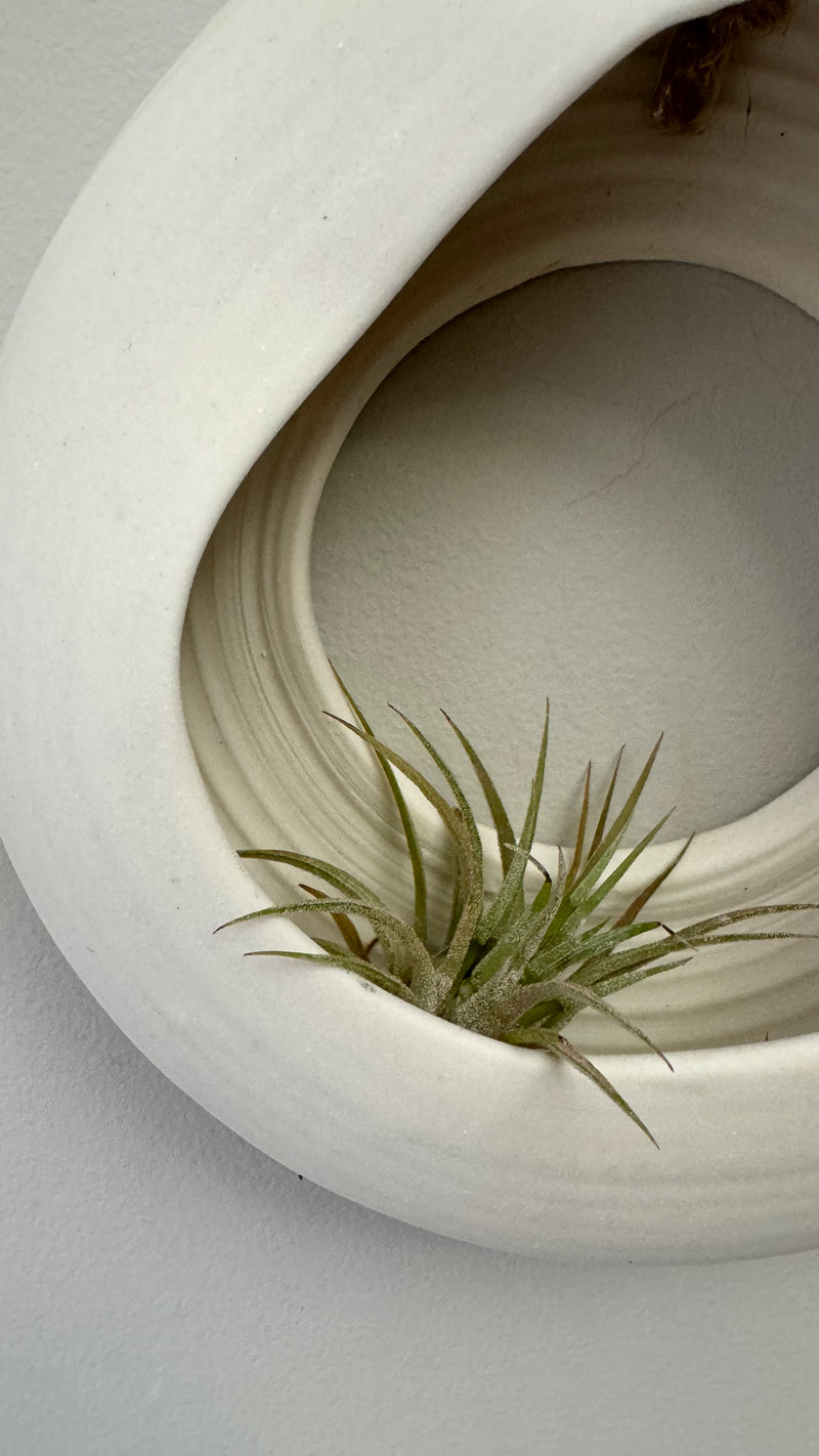 Flow organic O-planter raw porcelain by GOLEM no2